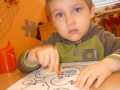 edin_motylci_zdravi (10)