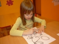 edin_motylci_zdravi (8)