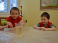 EDIN (5)